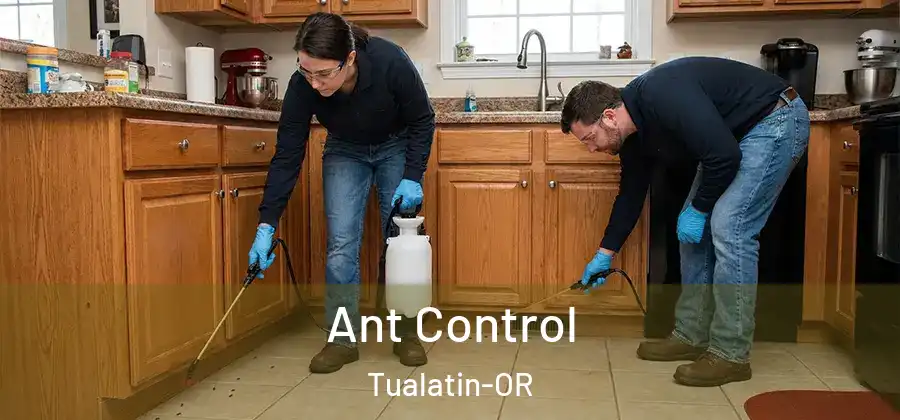 Ant Control Tualatin-OR