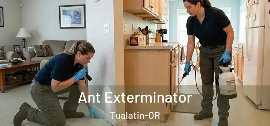  Ant Exterminator Tualatin-OR