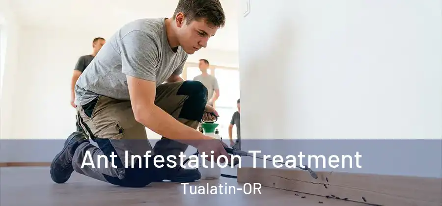 Ant Infestation Treatment Tualatin-OR