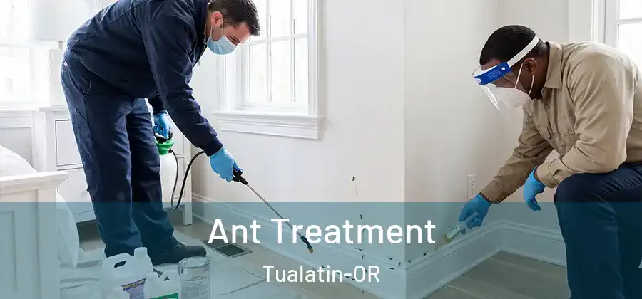 Ant Treatment Tualatin-OR