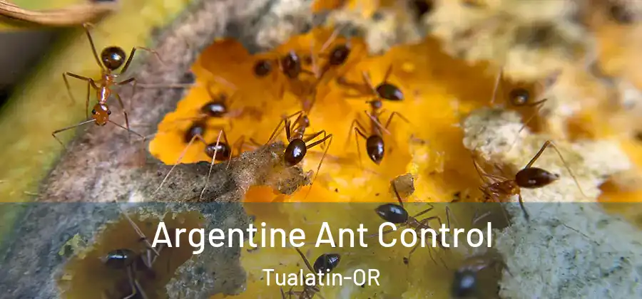 Argentine Ant Control Tualatin-OR
