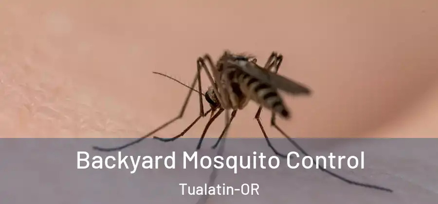 Backyard Mosquito Control Tualatin-OR