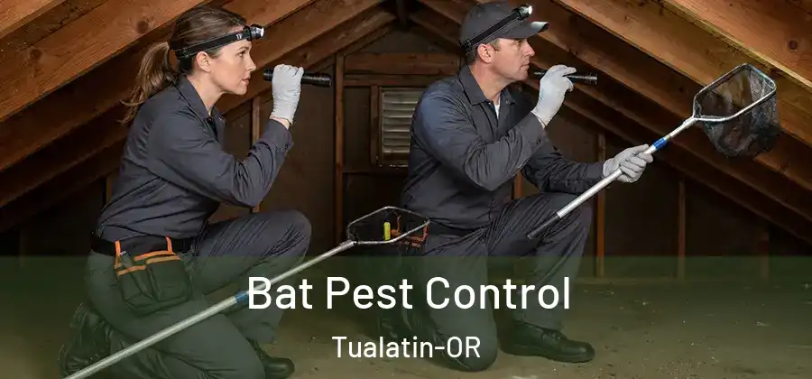 Bat Pest Control Tualatin-OR