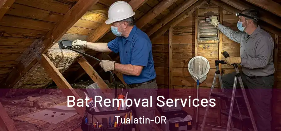 Bat Removal Services Tualatin-OR