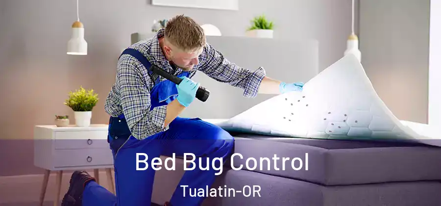 Bed Bug Control Tualatin-OR