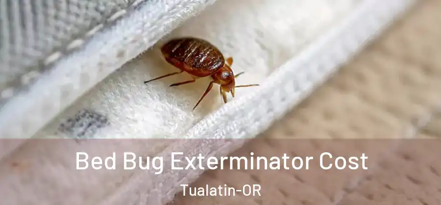 Bed Bug Exterminator Cost Tualatin-OR