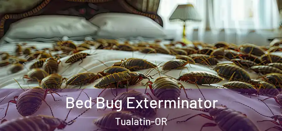 Bed Bug Exterminator Tualatin-OR