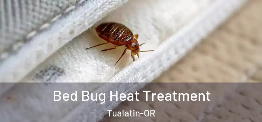 Bed Bug Heat Treatment Tualatin-OR