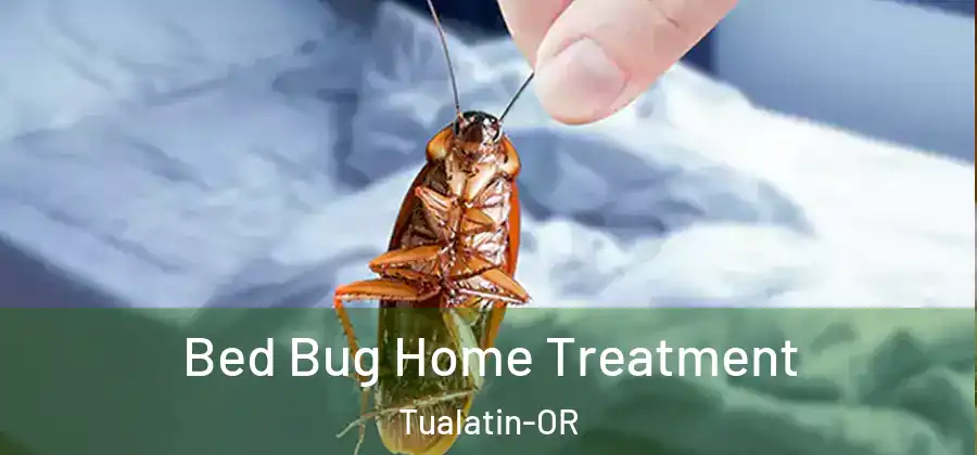 Bed Bug Home Treatment Tualatin-OR