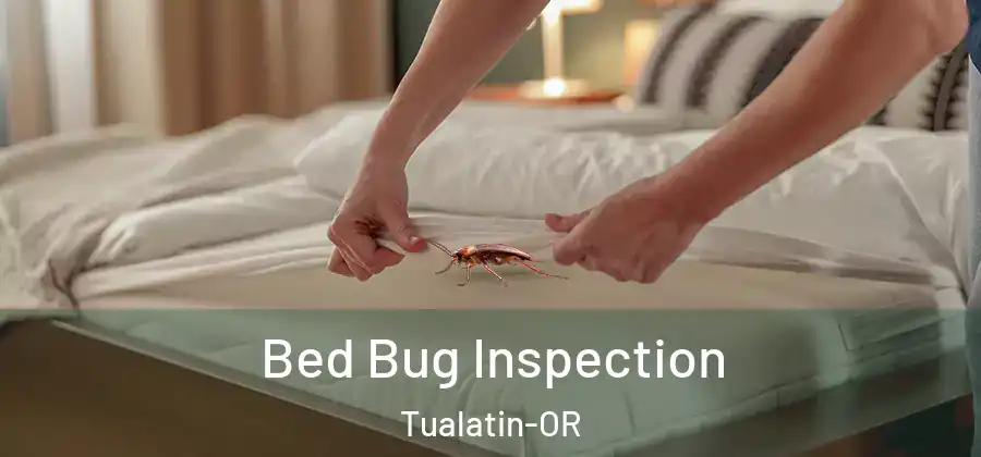  Bed Bug Inspection Tualatin-OR