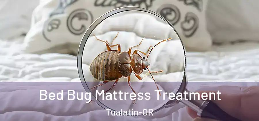 Bed Bug Mattress Treatment Tualatin-OR