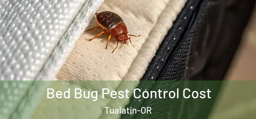  Bed Bug Pest Control Cost Tualatin-OR