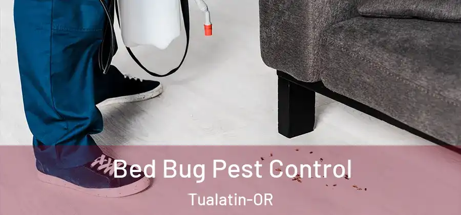 Bed Bug Pest Control Tualatin-OR