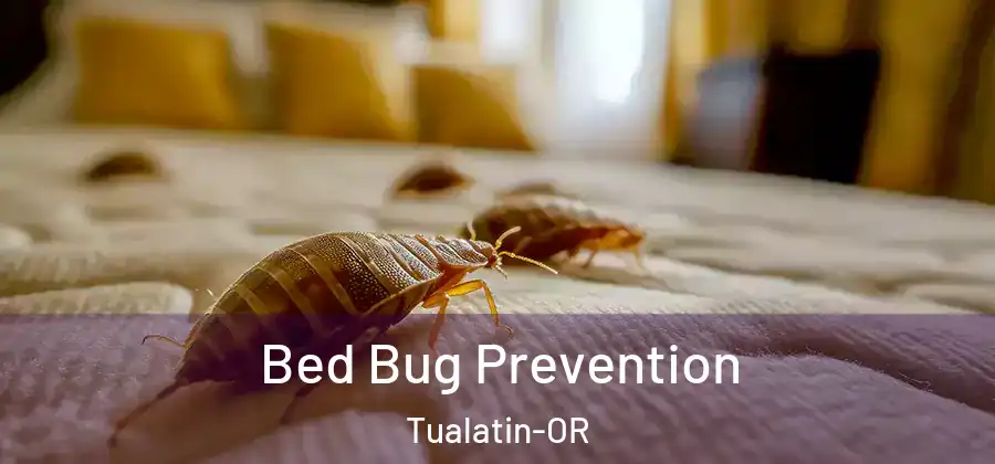 Bed Bug Prevention Tualatin-OR