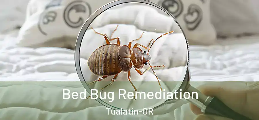 Bed Bug Remediation Tualatin-OR