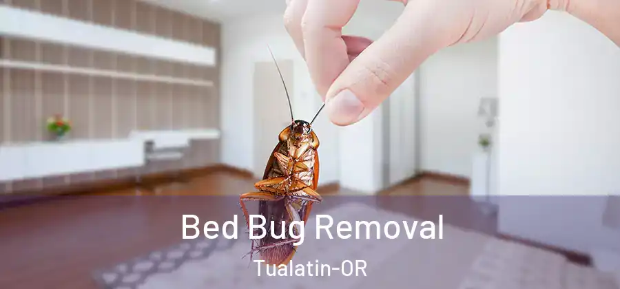 Bed Bug Removal Tualatin-OR