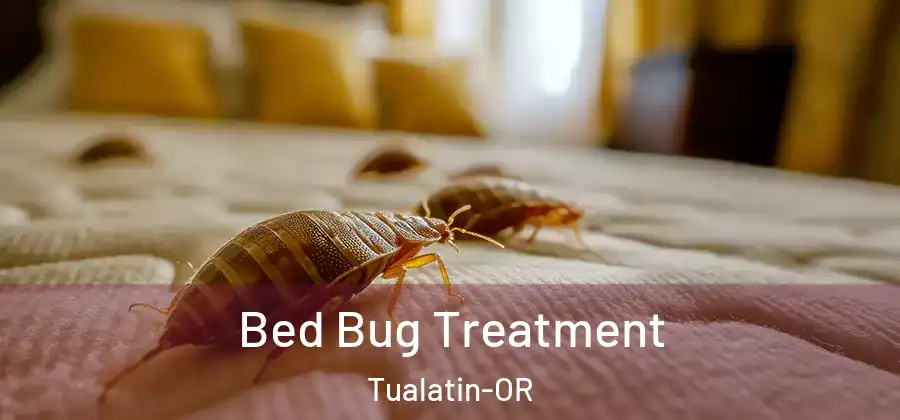 Bed Bug Treatment Tualatin-OR