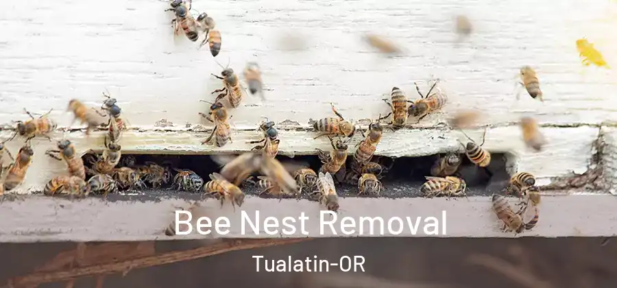 Bee Nest Removal Tualatin-OR