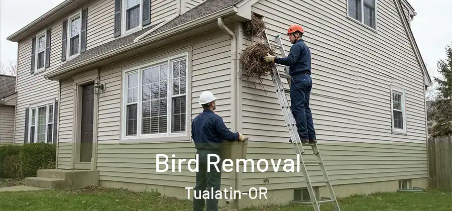 Bird Removal Tualatin-OR