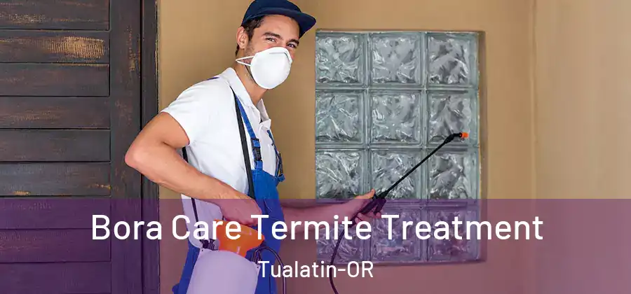 Bora Care Termite Treatment Tualatin-OR