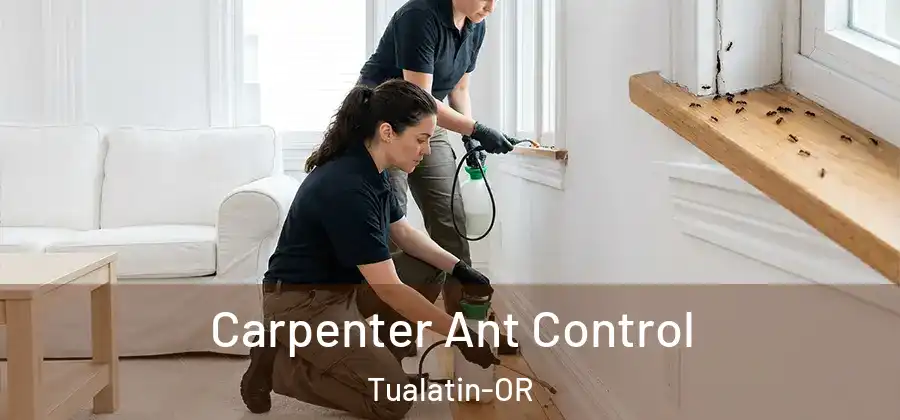 Carpenter Ant Control Tualatin-OR