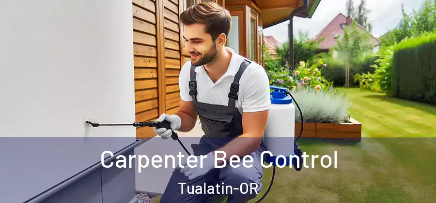 Carpenter Bee Control Tualatin-OR