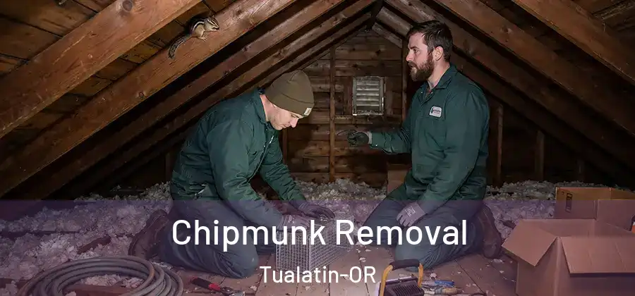 Chipmunk Removal Tualatin-OR