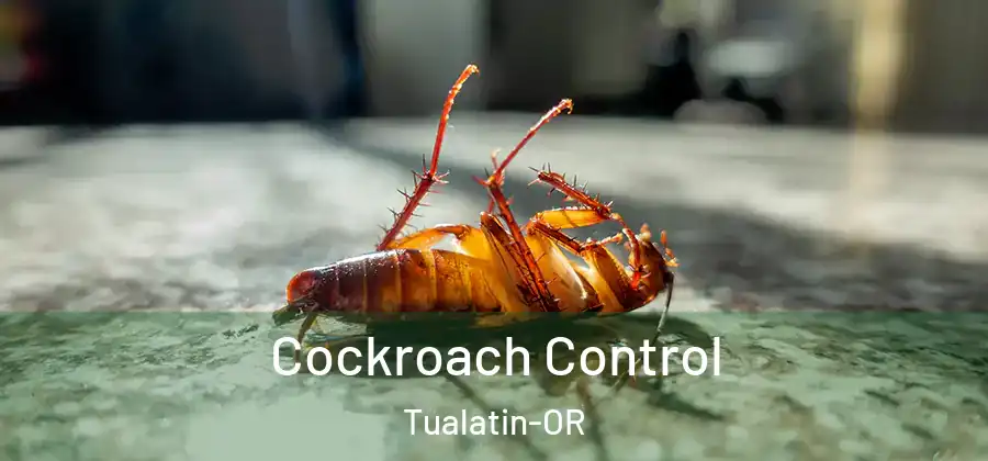 Cockroach Control Tualatin-OR