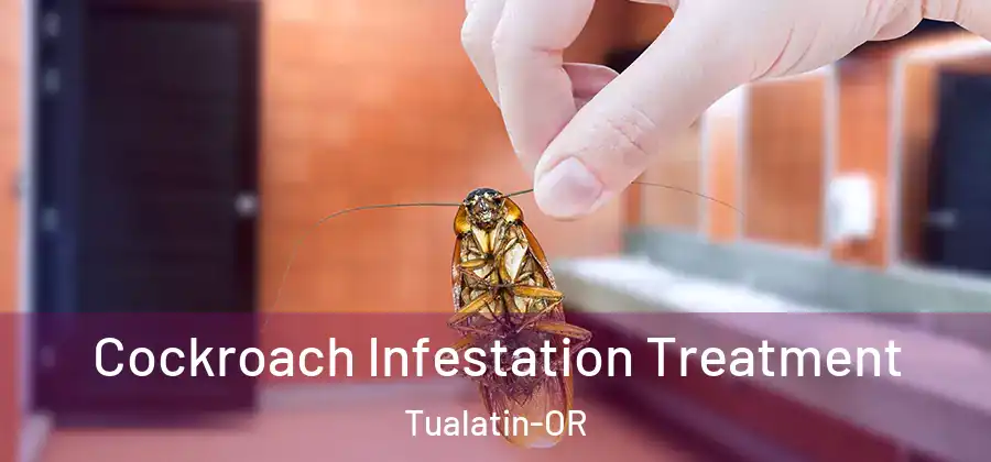 Cockroach Infestation Treatment Tualatin-OR