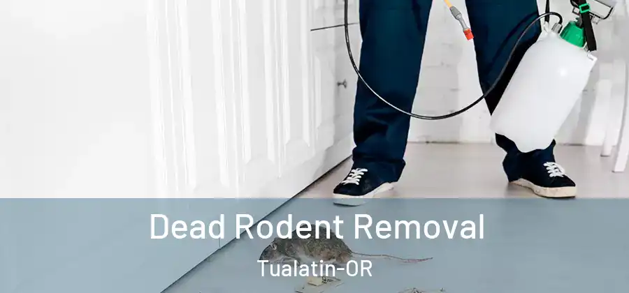  Dead Rodent Removal Tualatin-OR