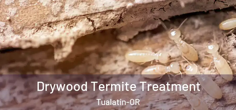 Drywood Termite Treatment Tualatin-OR