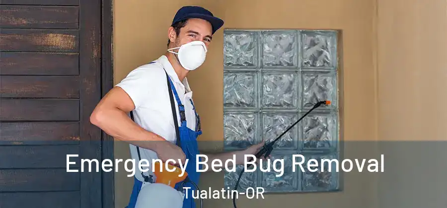  Emergency Bed Bug Removal Tualatin-OR