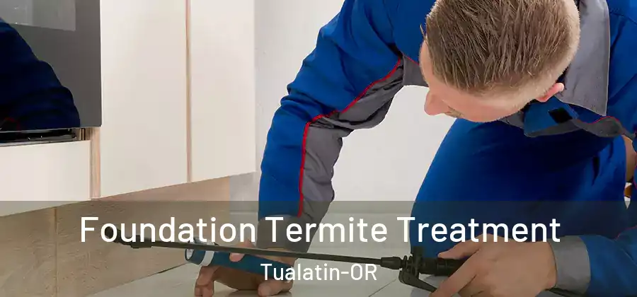 Foundation Termite Treatment Tualatin-OR