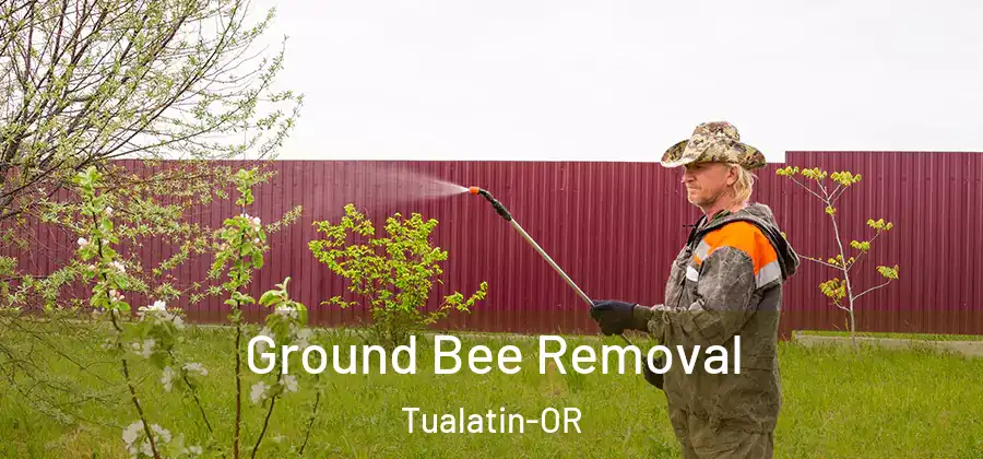 Ground Bee Removal Tualatin-OR