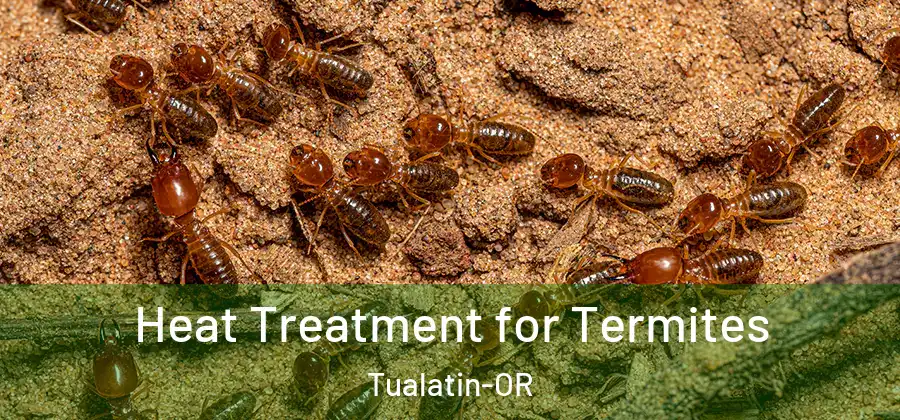 Heat Treatment for Termites Tualatin-OR