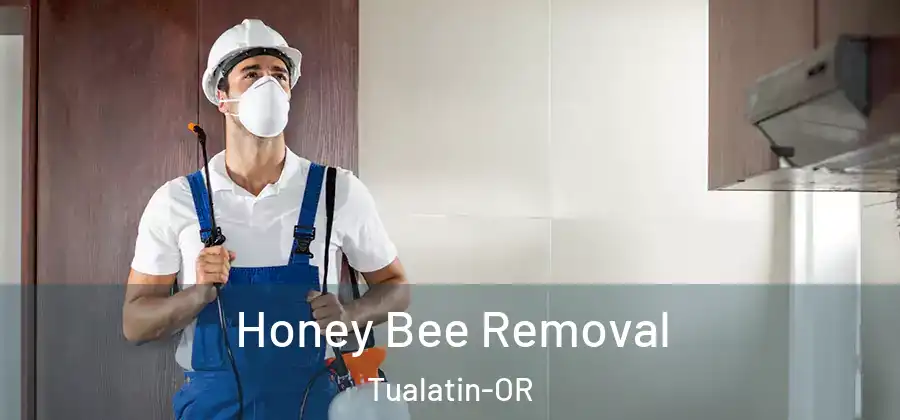 Honey Bee Removal Tualatin-OR