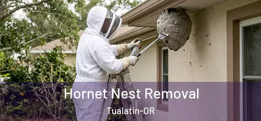 Hornet Nest Removal Tualatin-OR
