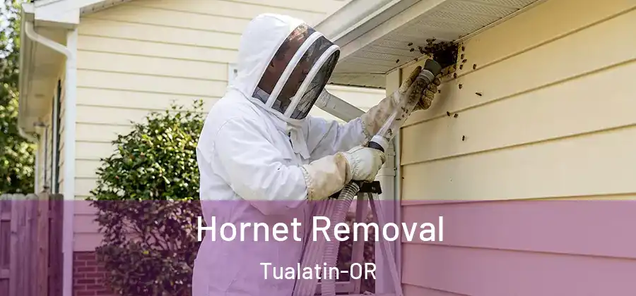 Hornet Removal Tualatin-OR