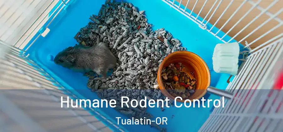 Humane Rodent Control Tualatin-OR
