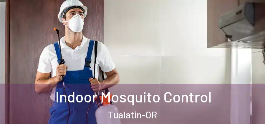 Indoor Mosquito Control Tualatin-OR