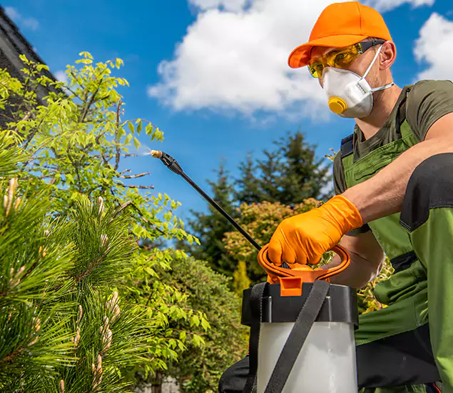Your Best Bug Spray for Home Team in Tualatin, OR