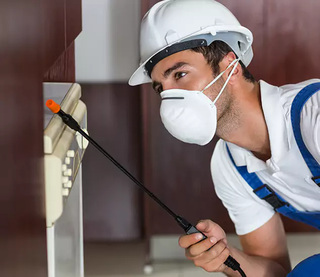 Expert Cockroach Exterminator: Your Roach Control Services in Tualatin, OR