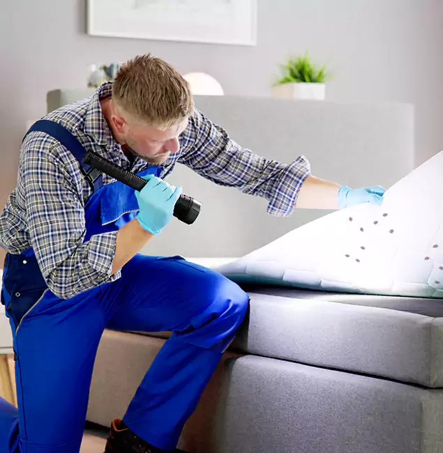 Why Choose Tualatin Pest Control Pro For Bed Bug Heat Treatment in Tualatin, OR?