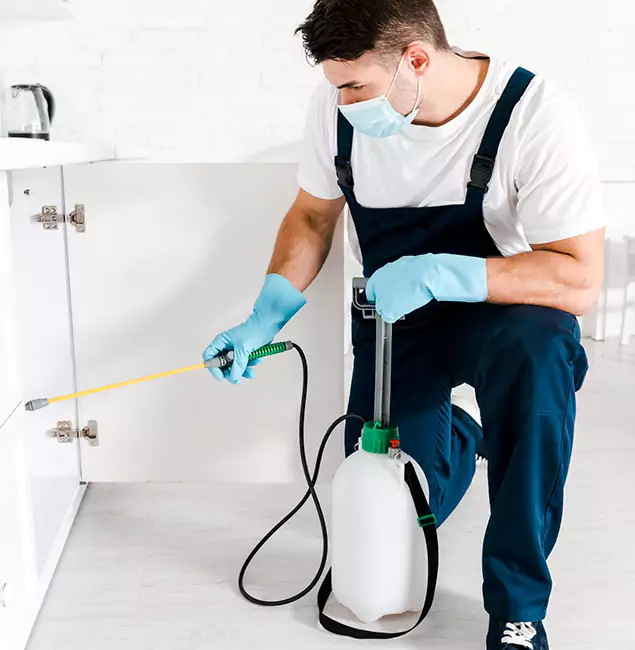 Why Tualatin, OR Homeowners Trust Us for German Roach Control?