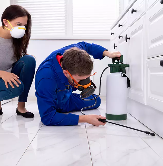 Why Tualatin, OR Homeowners Trust Tualatin Pest Control Pro for Roach Control?