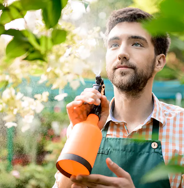 Why Tualatin Homeowners Call Tualatin Pest Control Pro for Mosquitoes in House?