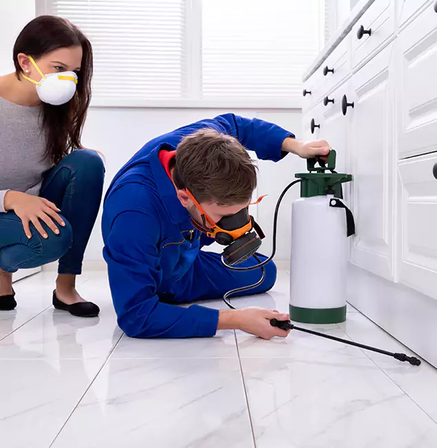 Why Choose Tualatin Pest Control Pro for Termite Inspection Cost in Tualatin, OR?