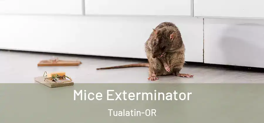 Mice Exterminator Tualatin-OR