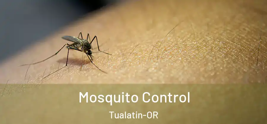  Mosquito Control Tualatin-OR