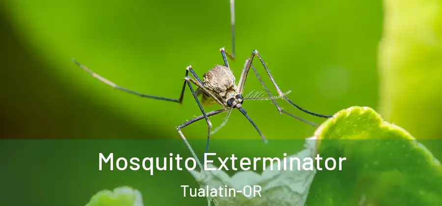 Mosquito Exterminator Tualatin-OR